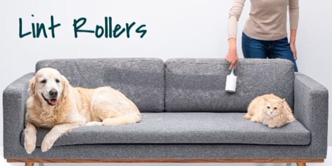Scotch-Brite lint rollers
